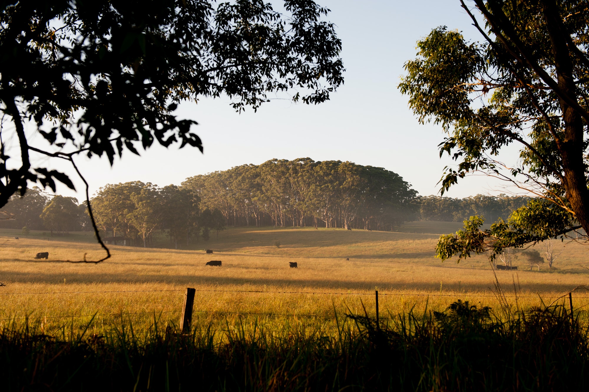 Australian Farm Land