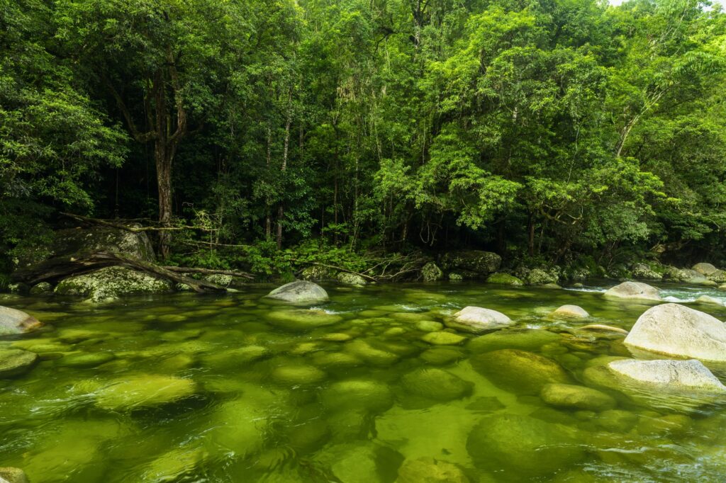 Mossman Gorge - river in Daintree National Park, Queensland, Aus