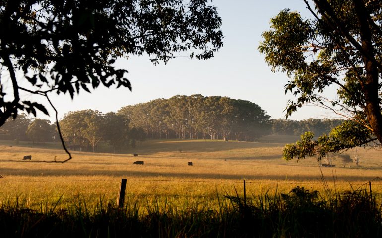 Australian Farm Land